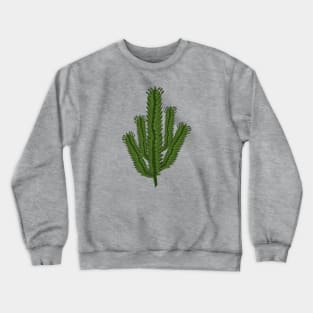 Overlooked Flora - Cathedral Cactus Crewneck Sweatshirt